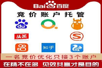 某行业巨头背后的百度竞价托管公司合作故事