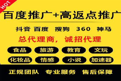 行业领先企业如何通过SEM推广代运营提升业绩